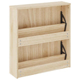 Shoe Cabinet 2-Layer Mirror Oak 63x17x67 cm 243045