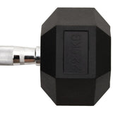 Dumbbell 22.5 kg Cast Iron 93609