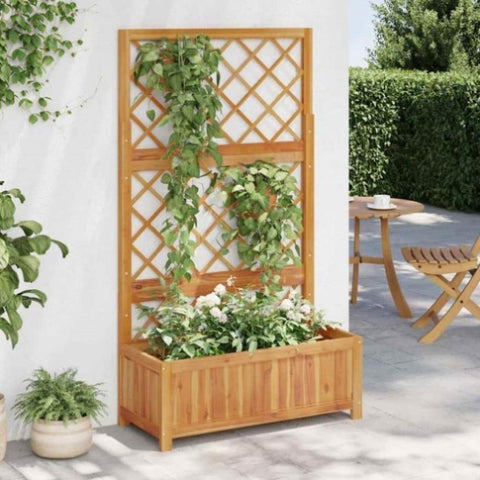 Raised Bed with Trellis 85x38x150 cm Solid Acacia Wood 316542