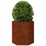 Garden Planters 2 pcs Hexagon 46x40x45 cm Weathering Steel 851121