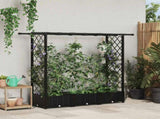 Raised Bed with Trellis and Roof Black 164 x 40 x 123 cm PP 42032540