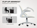 Breathable Mesh Office Chair, Ergonomic Swivel Computer Chair with Flip-up Armrests, Lumbar Back T3398P377425