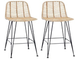 Bar Chair 2 pcs 44 x 52 x 111 cm Rattan and Iron 42011547