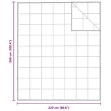 2-in-1 Duvet White 260 x 220 cm Down 42007673