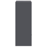 Parcel Drop Box with Storage Anthracite 41 x 38 x 103 cm Steel 874935