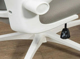 Multi-Adjustable Office Chair, with Lumbar Support, Headrest and Mesh Back - Grey T3398P329884