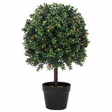 Boxwood Ball Green 35 x 35 x 50 cm Plastic 42008332