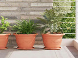 Plant Pots 24 pcs Brick Red 26 x 21.5 cm Plastic 3403281