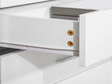 Chest of Drawers, 4 Drawers Storage Cabinet with Metal Rails, Anti-Tip for Playroom, Nursery Room, T3398P344249
