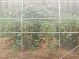 Polytunnel Greenhouse Walk-in Grow House with PE Cover, Door and Galvanised Steel Frame, 3 x 2 x 2m, T3398P315931