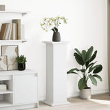 Display Stand with Storage White 31x30x90 cm Engineered Wood 854607