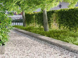 Lawn Edging 20 pcs 100 x 30 cm Steel Silver 8008639
