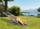 Wooden Dog Agility Seesaw 54326390