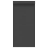 ZNTS Roller Shutter Aluminium 100x210 cm Anthracite 144981