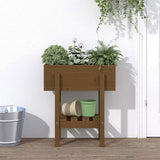 Garden Planter Honey Brown 62x30x69 cm Solid Wood Pine 825236