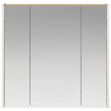 Bathroom Mirror Cabinet Artisian Oak 63.5 x 15.5 x 60.5 cm 889254