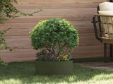 Planter Ring 5 pcs Olive Green 30 x 30 x 20 cm 873599