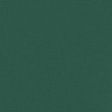 Retractable Side Awning Dark Green 180x300 cm 4004350