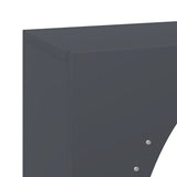 Firewood Rack Anthracite 50x23x100 cm Cold-rolled steel 864183