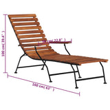 Deck Chair Brown, Black Acacia wood, Steel Standard Foldable 44390