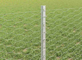 Welded Wire Fence 25 x 0.6 m Hot-Dip Galvanised Steel 3336992