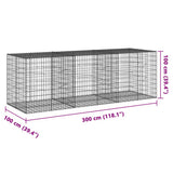 Gabion Basket with Cover 300x100x100 cm Galvanised Iron 3295194