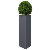 ZNTS Garden Planter Anthracite Triangular 30x26x75 cm Steel 851147