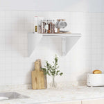 ZNTS Wall Shelf 50x45x31 cm Silver Stainless Steel 30276