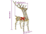 3D Reindeer 140 LEDs Warm white 70 x 41 x 128 cm Rattan 42019057