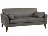 2 Seater Sofa, 132 cm Modern Small Sofa with Solid Wood Legs and 2 Pillows for Small Space, Grey T3398P548096