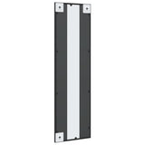 Wall Mirror Black 30x100 cm Rectangle Iron 358643