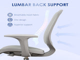 Office Chair/Massage Office Chair 08308263