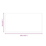 Fireplace Glass Plate Rectangular 100x50 cm 324129