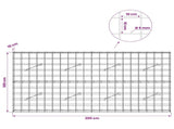Gabion with 5 mm Wire and 10x10 cm Mesh 200x10x100 cm 3464926