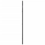 Wall Mirror Black 60x100 cm Arch Iron 358627