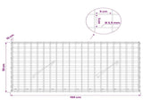 Gabion with 3.5 mm Wire and 5x5 cm Mesh 100x10x50 cm 3462020