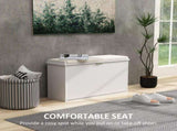 Shoe Storage Cabine 68014935