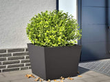 Garden Planter Black 50x50x50 cm Steel 851066