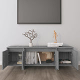 TV Cabinet Grey Sonoma 120x30x40.5 cm Engineered Wood 813051