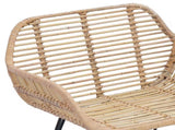 Dining Chair 2 pcs Rattan and Iron Natural 55 x 50 x 74 cm 42011556