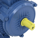 3 Phase Electric Motor Aluminium 4kW/5.5HP 2 Pole 2840 RPM 148006