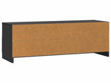 TV Cabinet with Drawer Black 102 x 34.5 x 47 cm Engineered Wood 895826