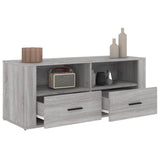TV Cabinet Grey Sonoma 100x35x40 cm Engineered Wood 816814