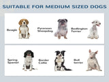 Pet Feeding Station with Raised Dog Bowls, Adjustable Panel, Hooks, Black T3398P425299