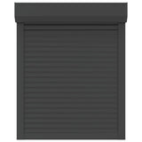 ZNTS Roller Shutter Aluminium 80x100 cm Anthracite 144977