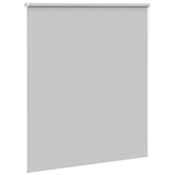 ZNTS Roller Blind Blackout Light Grey 140x130 cm Fabric Width 136.6 cm Polyester 4011370