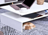 Coffee Table with Storage, 2-Tier Centre Table, Modern Living Room Table with Open Shelf and T3398P344164