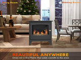 Freestanding Ethanol Fireplace, Steel Bioethanol Fireplace with Stainless Steel Flame Snuffer, 1.2L T3398P378802