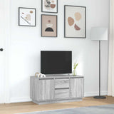 TV Cabinet with LED Lights Grey Sonoma 100x41x50 cm 861414