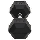 Dumbbell 27.5 kg Cast Iron 93611